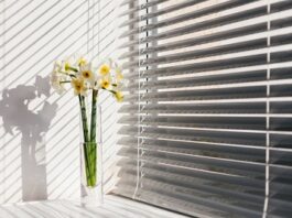 A Smart Investment: How Outdoor Blinds Add Value to Your Home