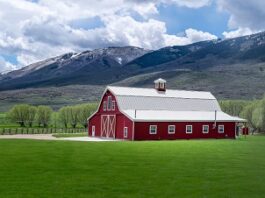 Built for the Long Haul: Designing a Farm Shed That Works as Hard as You Do